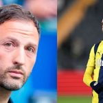 Fenerbahce vs Alanyaspor – prediction, workforce information, lineups